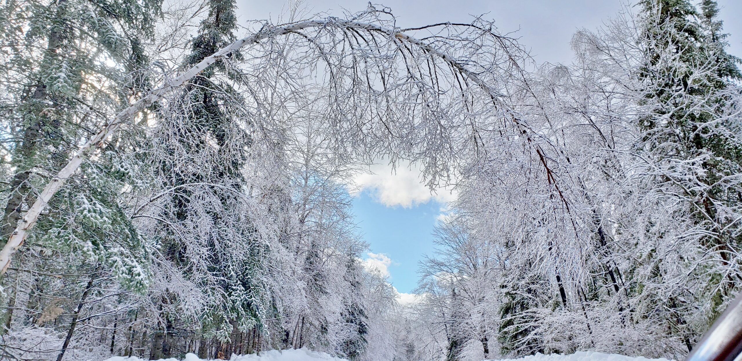 Loretta Lake Town of Draper